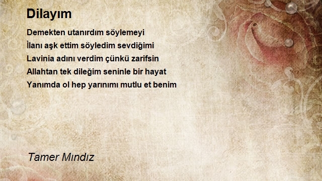 Tamer Mındız