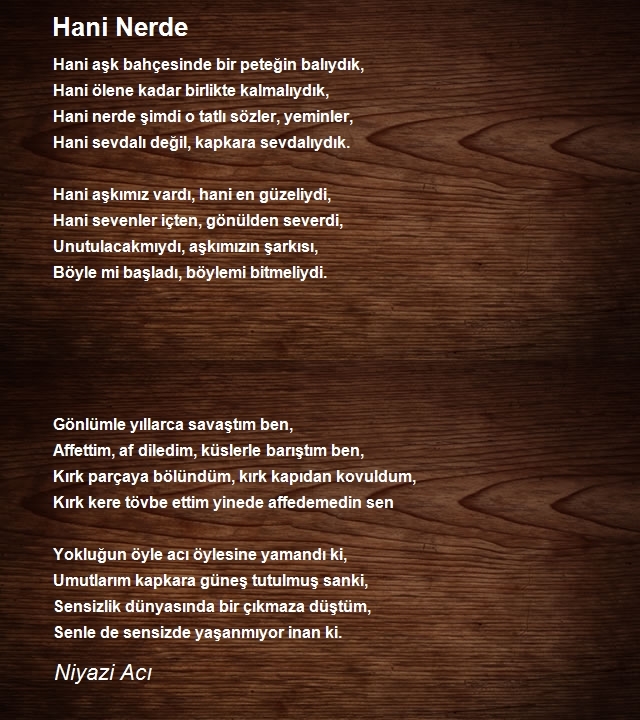 Niyazi Acı