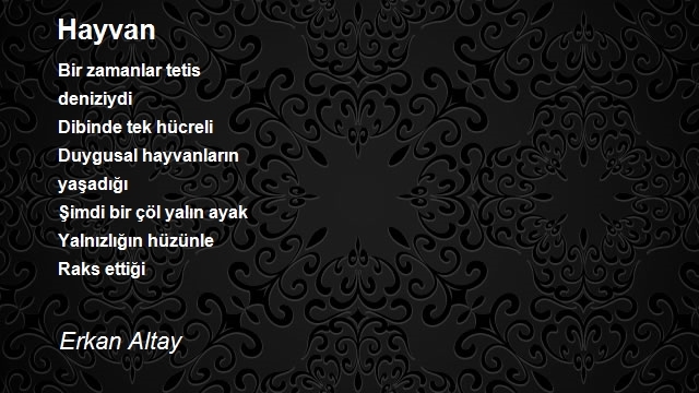 Erkan Altay