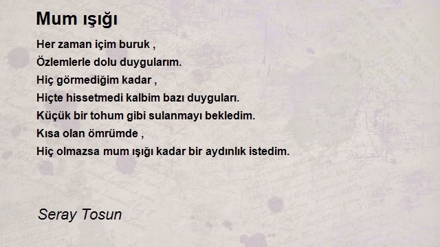 Seray Tosun