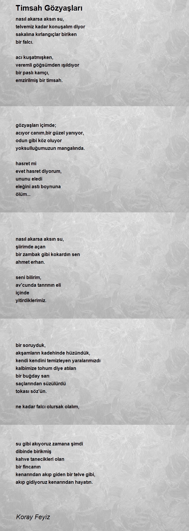 Koray Feyiz