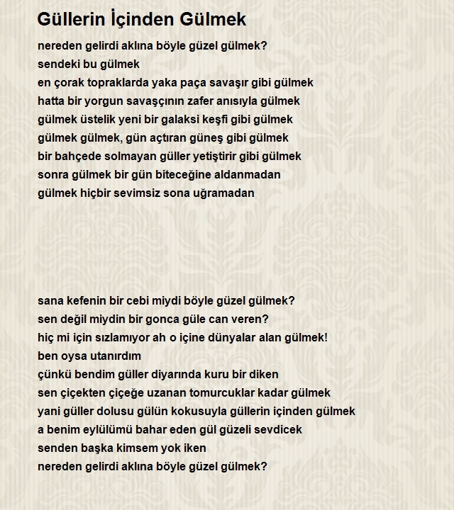 Mustafa Türkoğlu