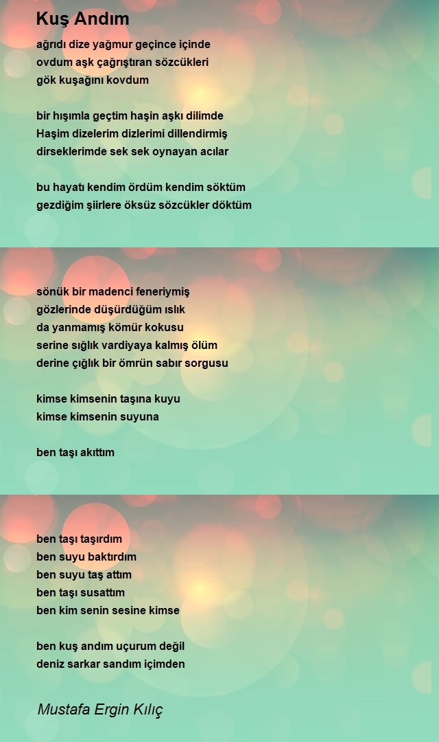 Mustafa Ergin Kılıç