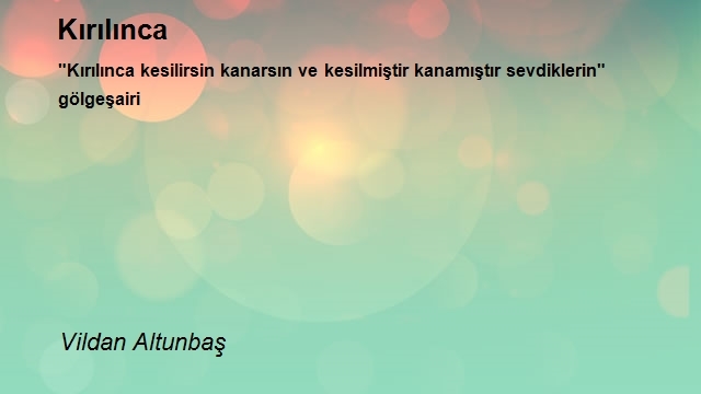 Vildan Altunbaş