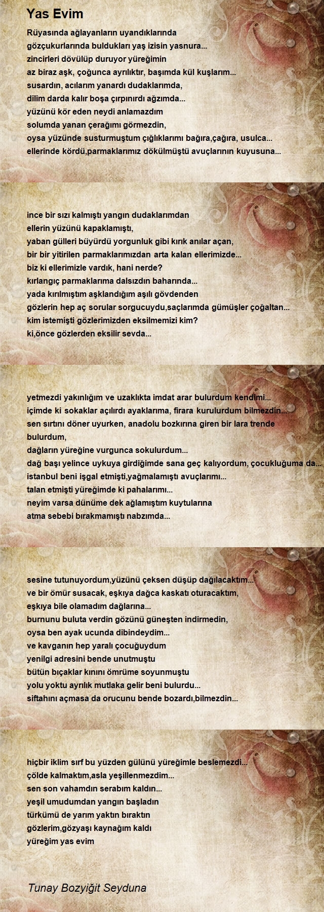 Tunay Bozyiğit Seyduna