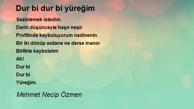 Mehmet Necip Özmen