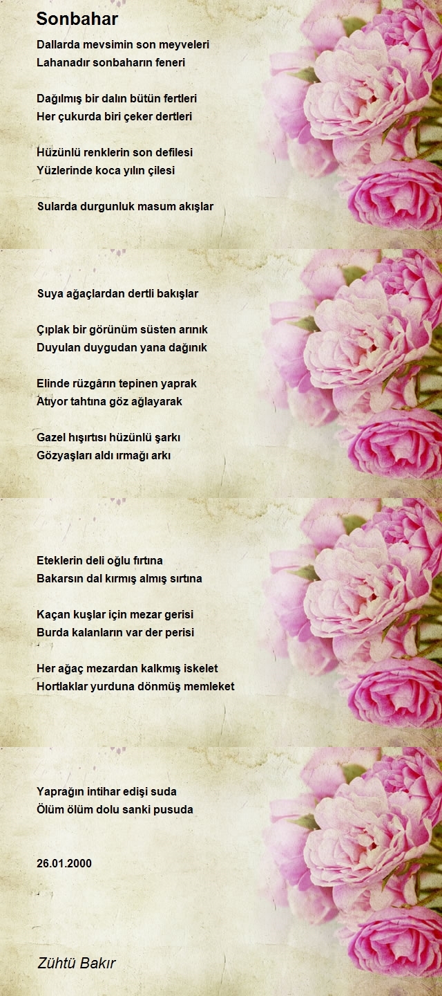 Zühtü Bakır