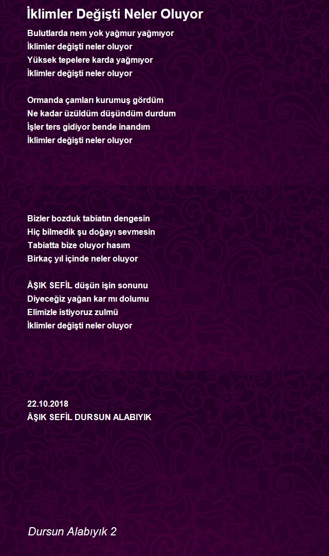 Dursun Alabıyık 2