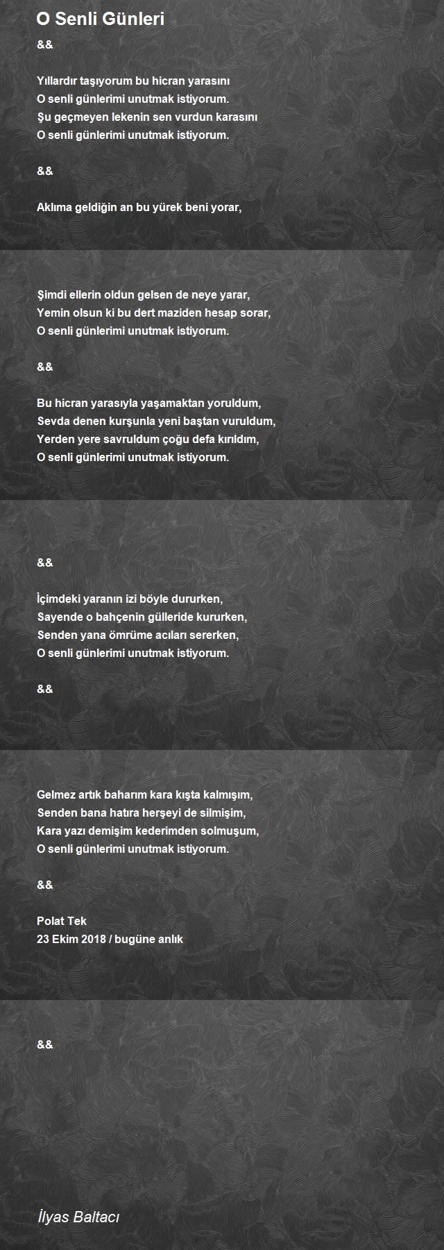 İlyas Baltacı
