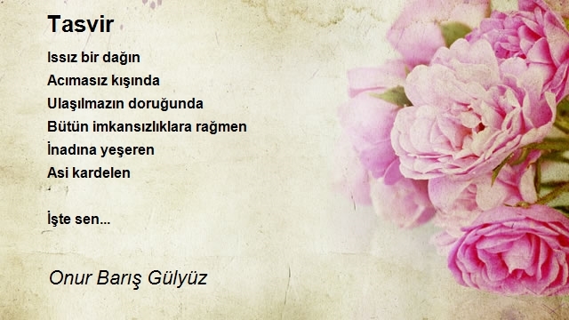 Onur Barış Gülyüz