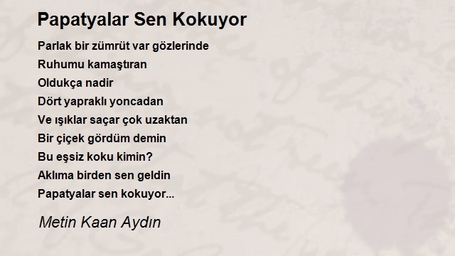 Metin Kaan Aydın
