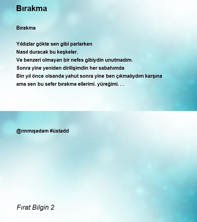 Fırat Bilgin 2