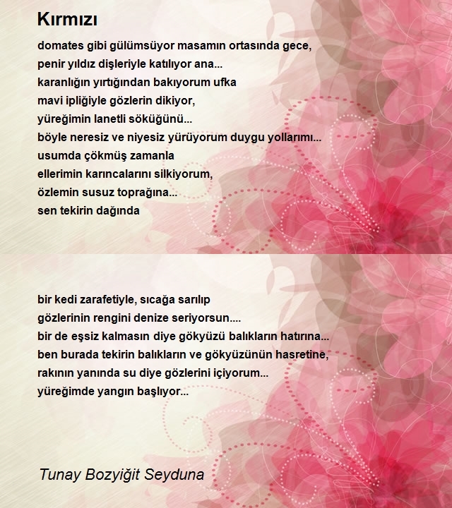 Tunay Bozyiğit Seyduna
