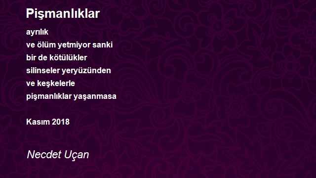 Necdet Uçan