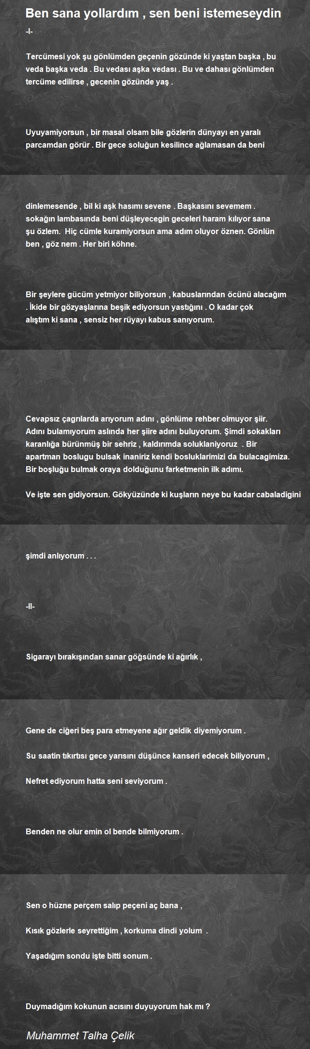 Muhammet Talha Çelik
