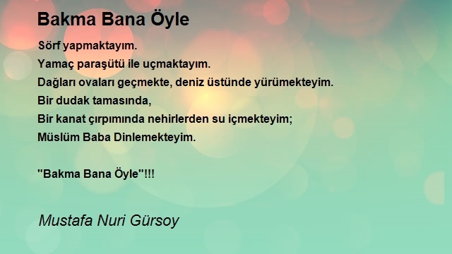 Mustafa Nuri Gürsoy