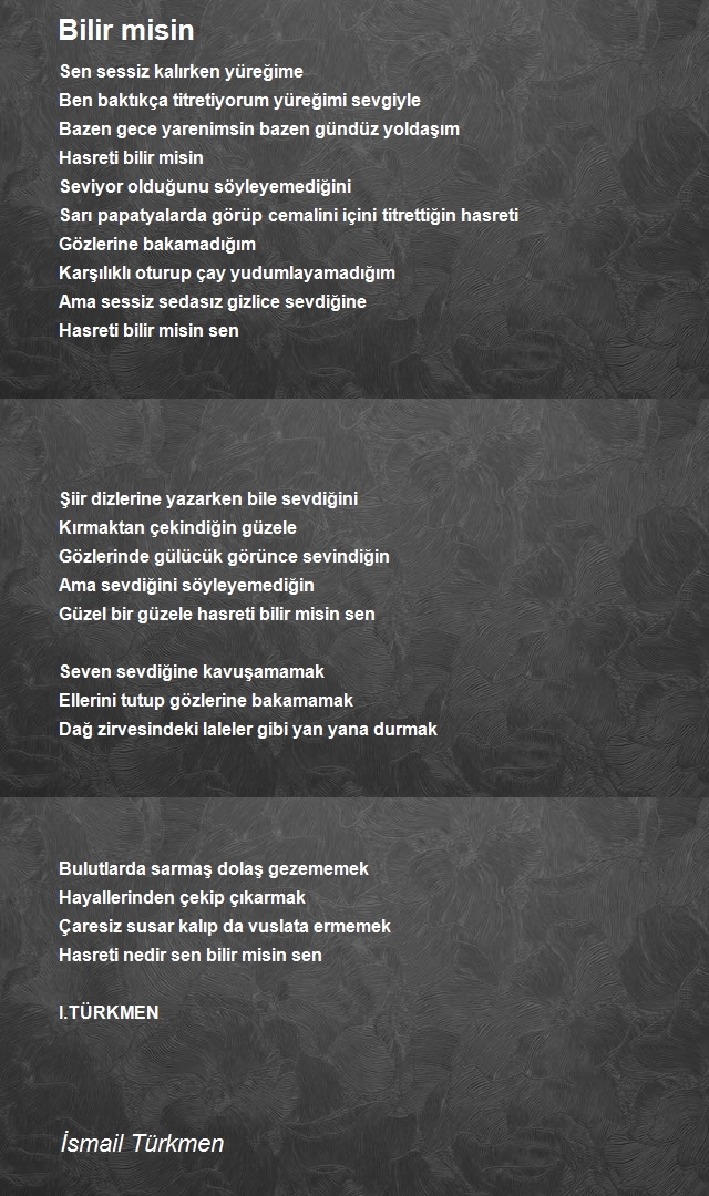 İsmail Türkmen