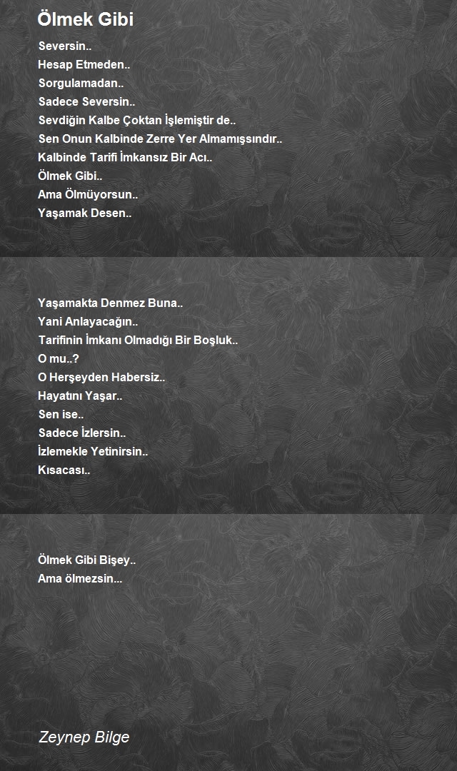 Zeynep Bilge