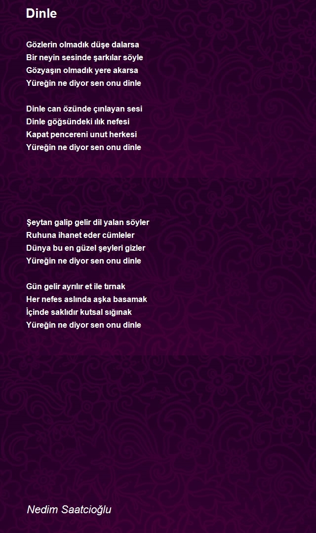 Nedim Saatcioğlu