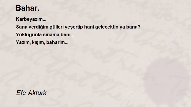 Efe Aktürk