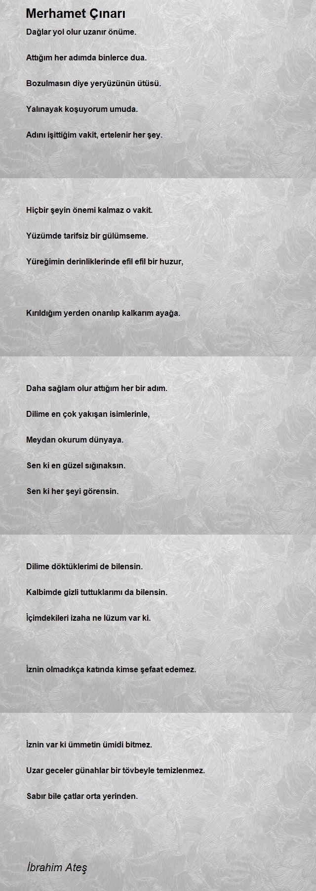 İbrahim Ateş