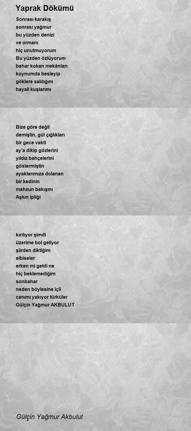 Gülçin Yağmur Akbulut