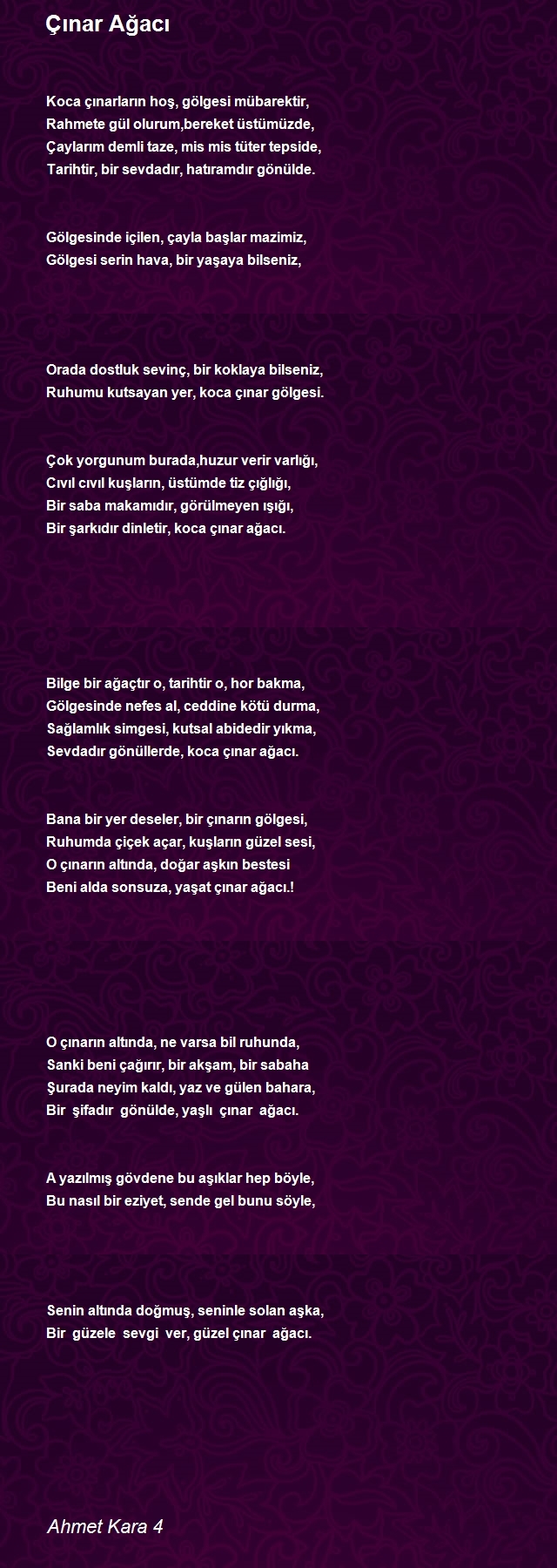 Ahmet Kara 4