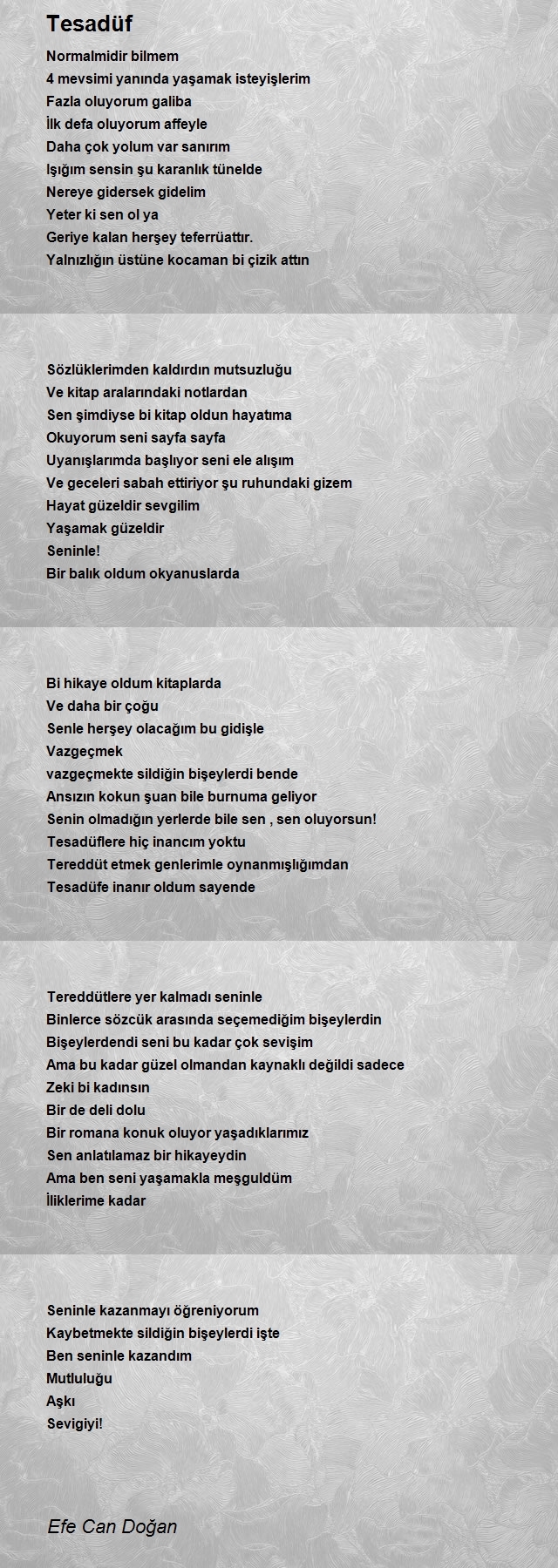 Efe Can Doğan