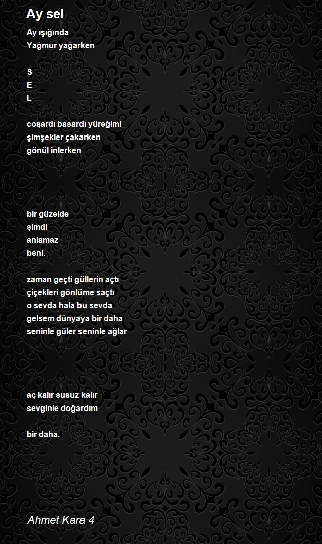 Ahmet Kara 4
