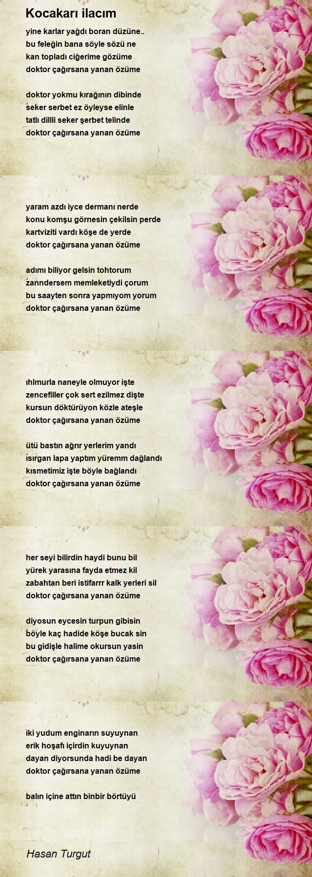 Hasan Turgut
