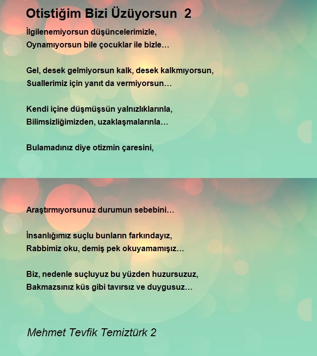 Mehmet Tevfik Temiztürk 2