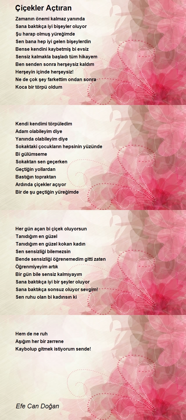 Efe Can Doğan