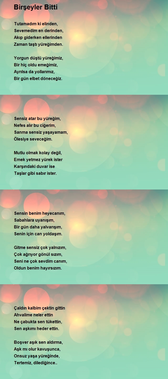 Ahmet Ziya 3