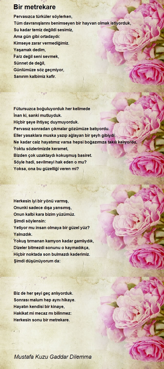 Mustafa Kuzu Gaddar Dilemma