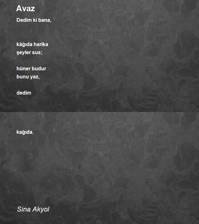 Sina Akyol
