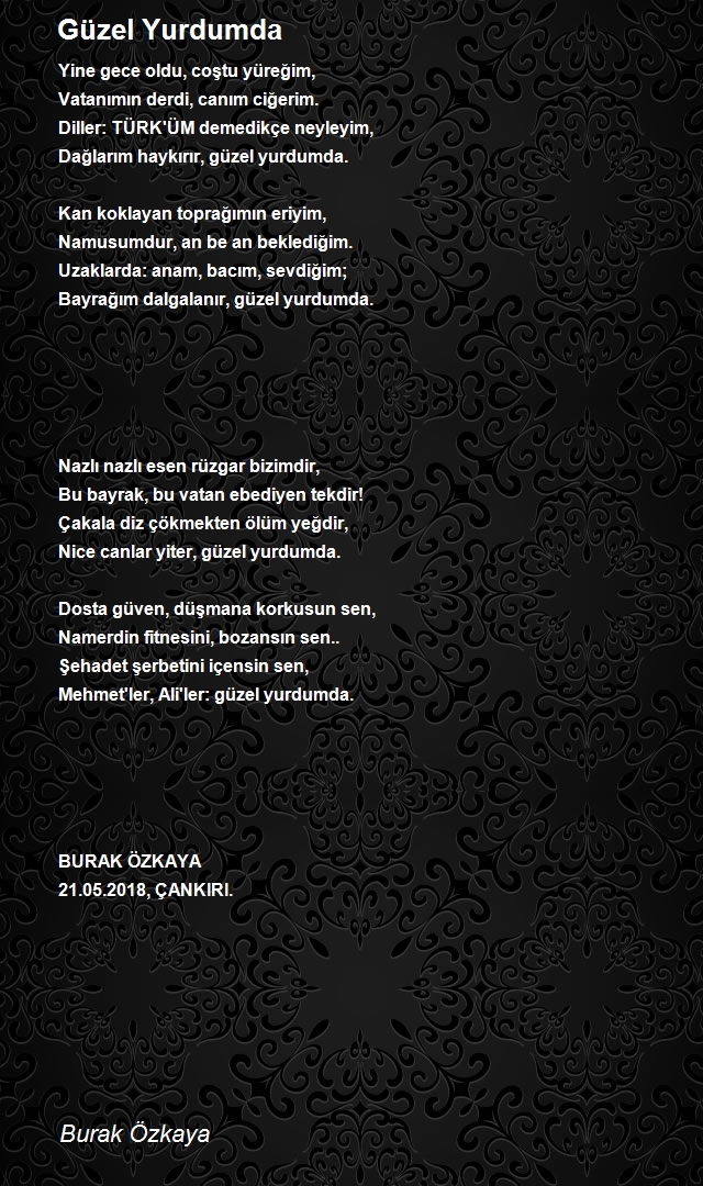 Burak Özkaya