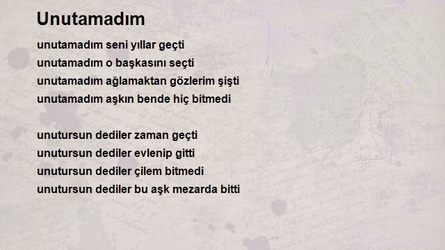 Selim Altıner 2