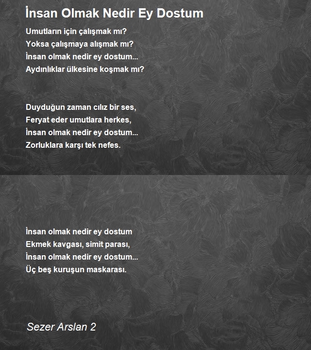 Sezer Arslan 2