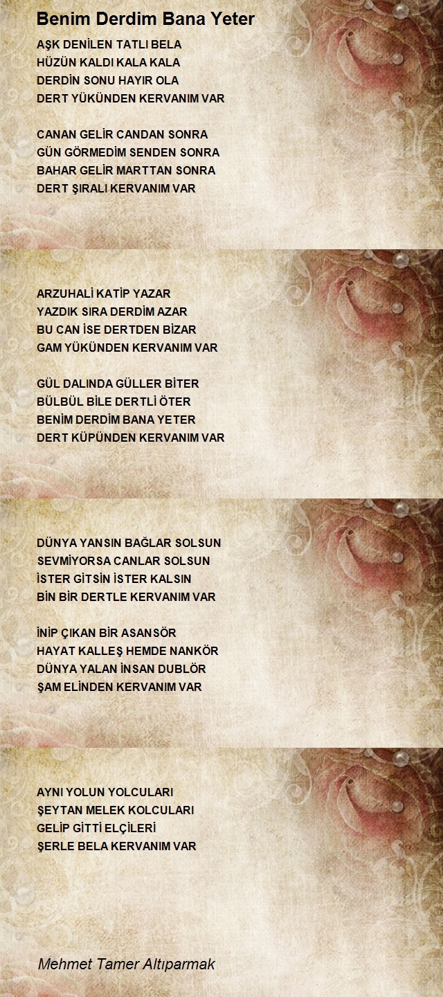 Mehmet Tamer Altıparmak