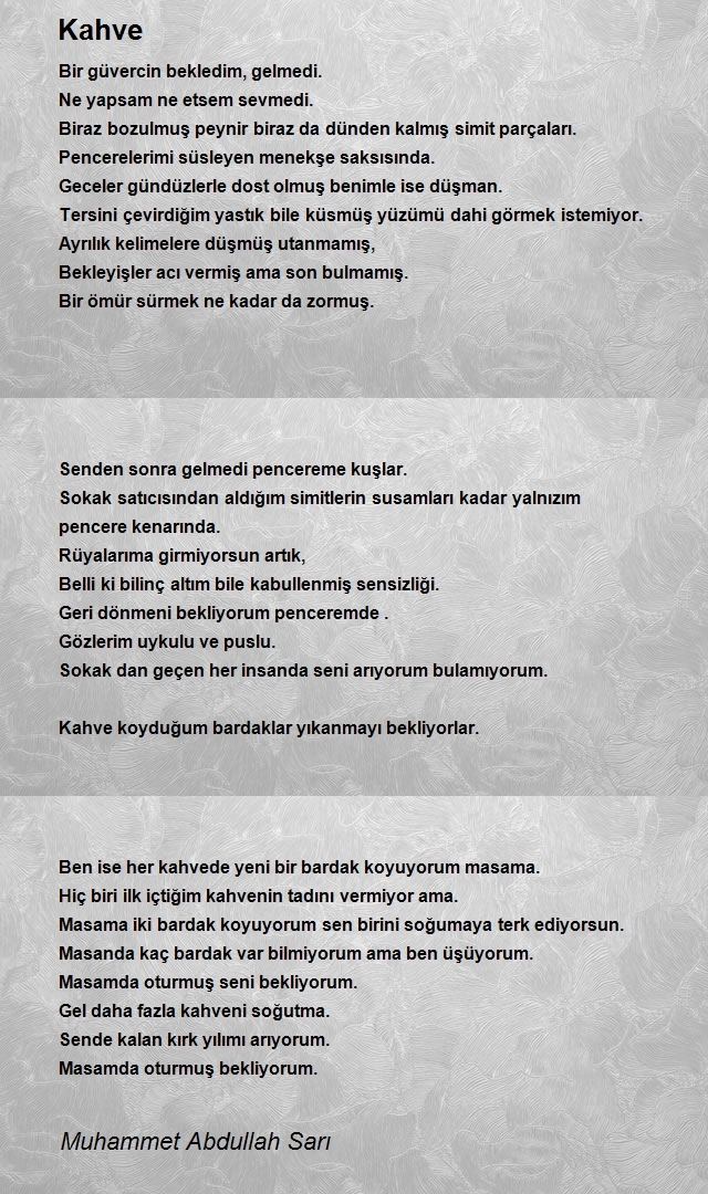 Muhammet Abdullah Sarı