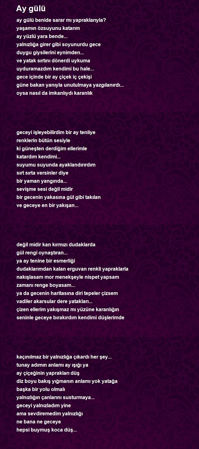 Tunay Bozyiğit Seyduna