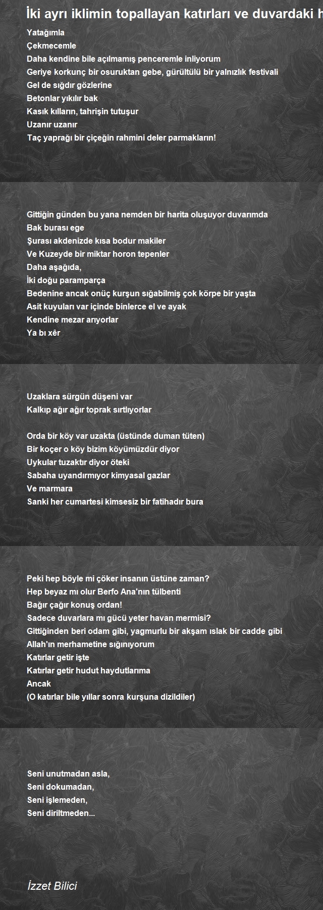 İzzet Bilici