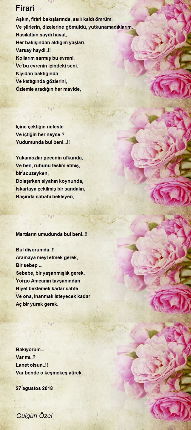 Gülgün Özel