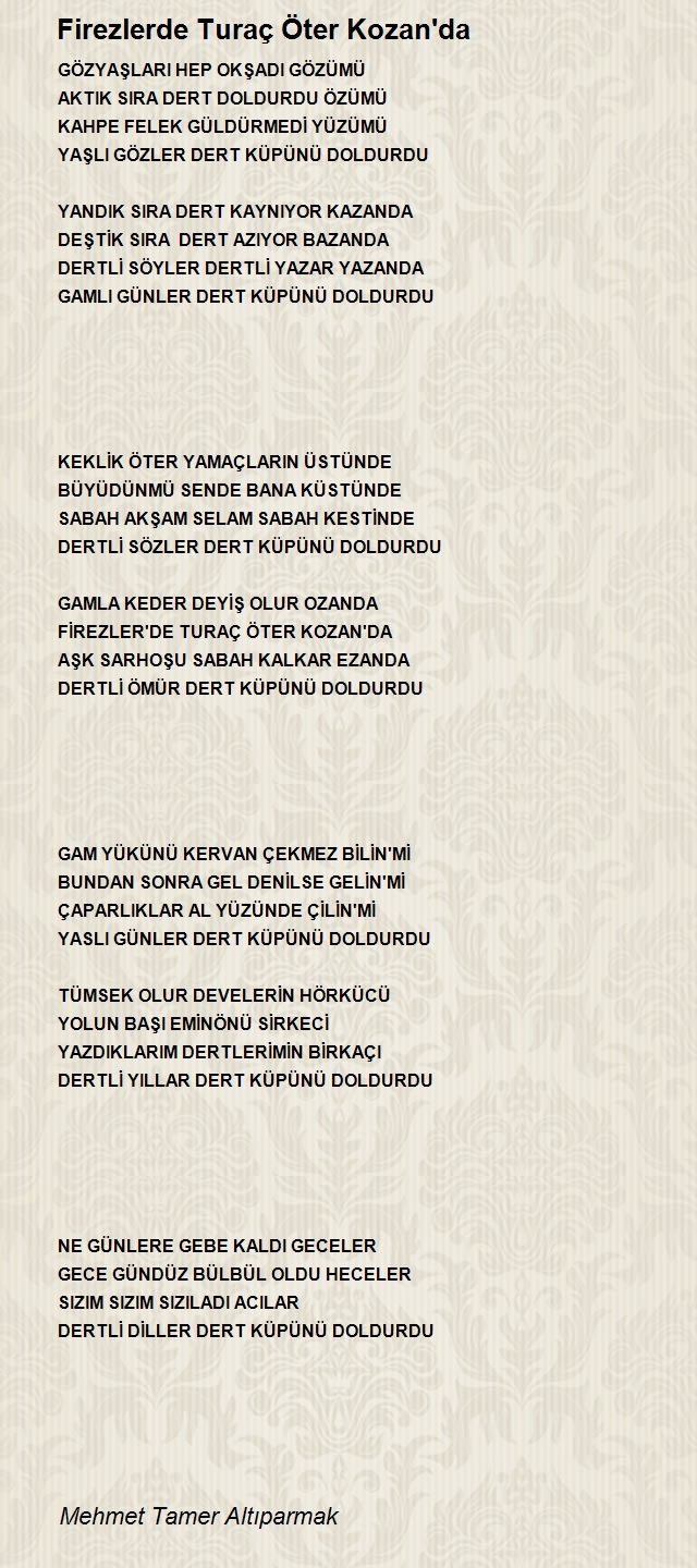 Mehmet Tamer Altıparmak