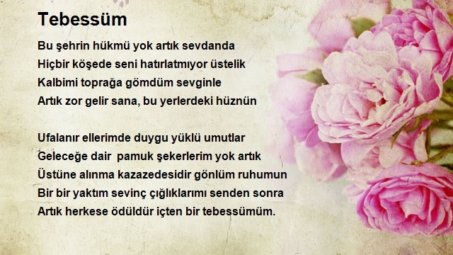 İrem Aslan
