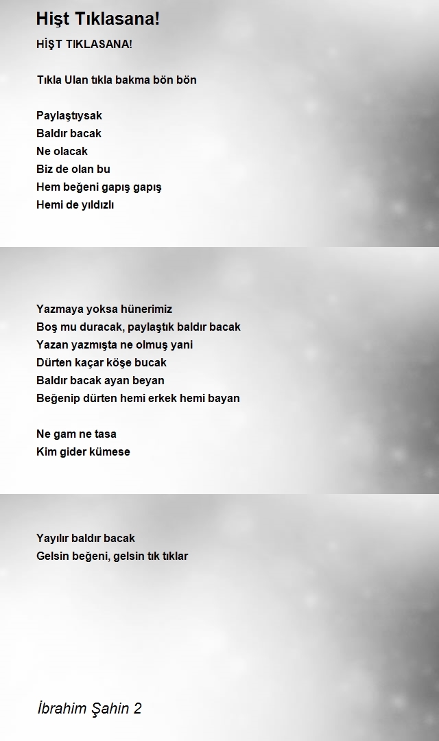 İbrahim Şahin 2
