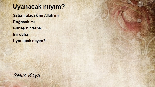 Selim Kaya