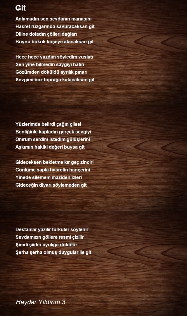 Haydar Yıldırım 3