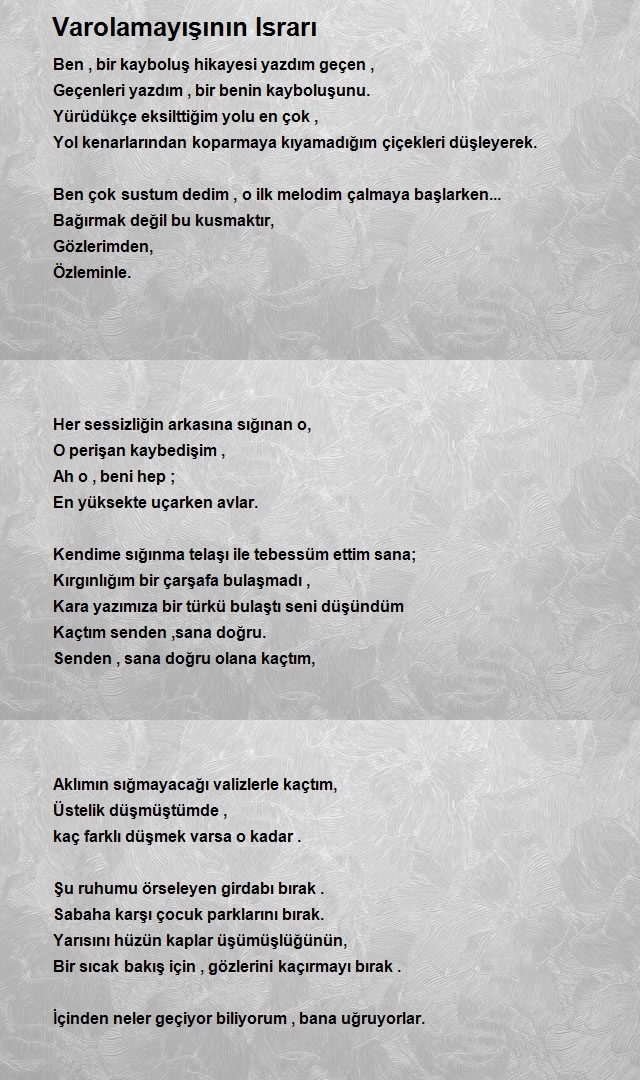 Muhammet Talha Çelik