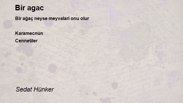 Sedat Hünker
